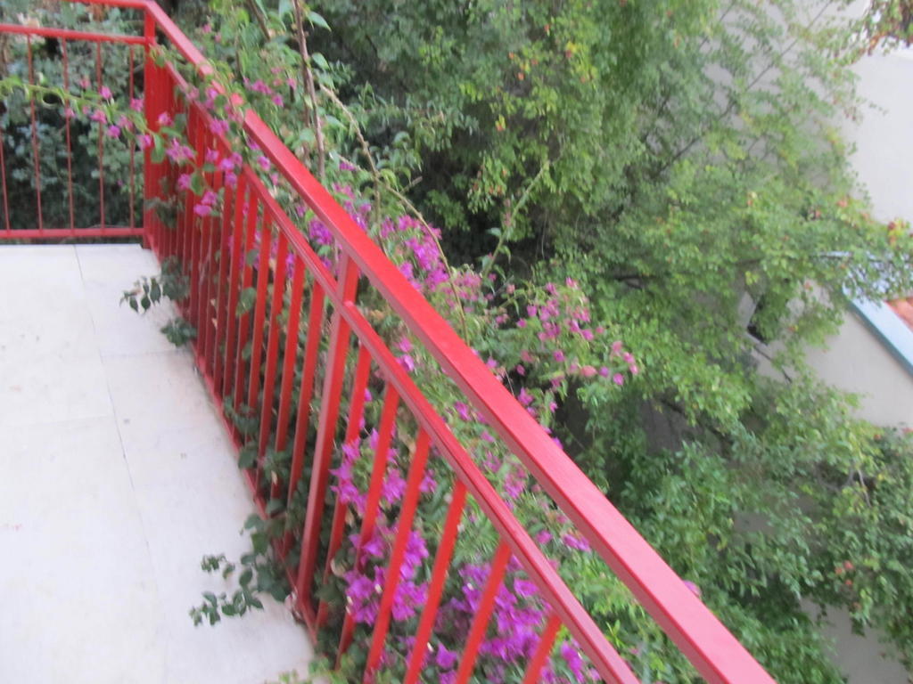 Apartments Almaja Villa Petrovac Exterior photo