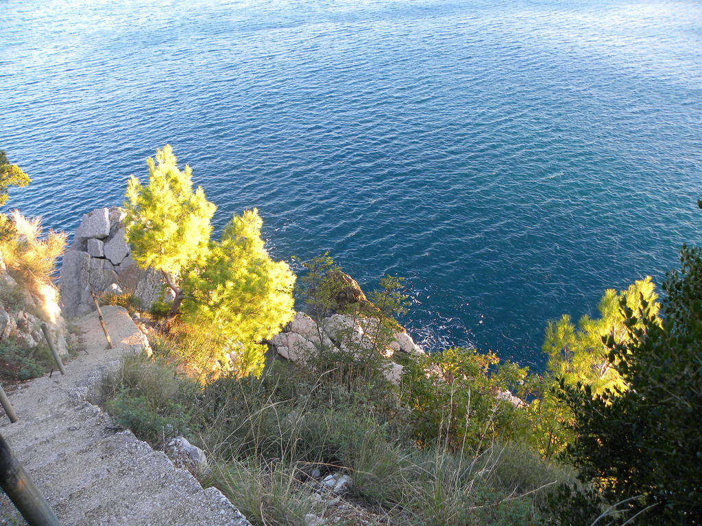 Apartments Almaja Villa Petrovac Exterior photo