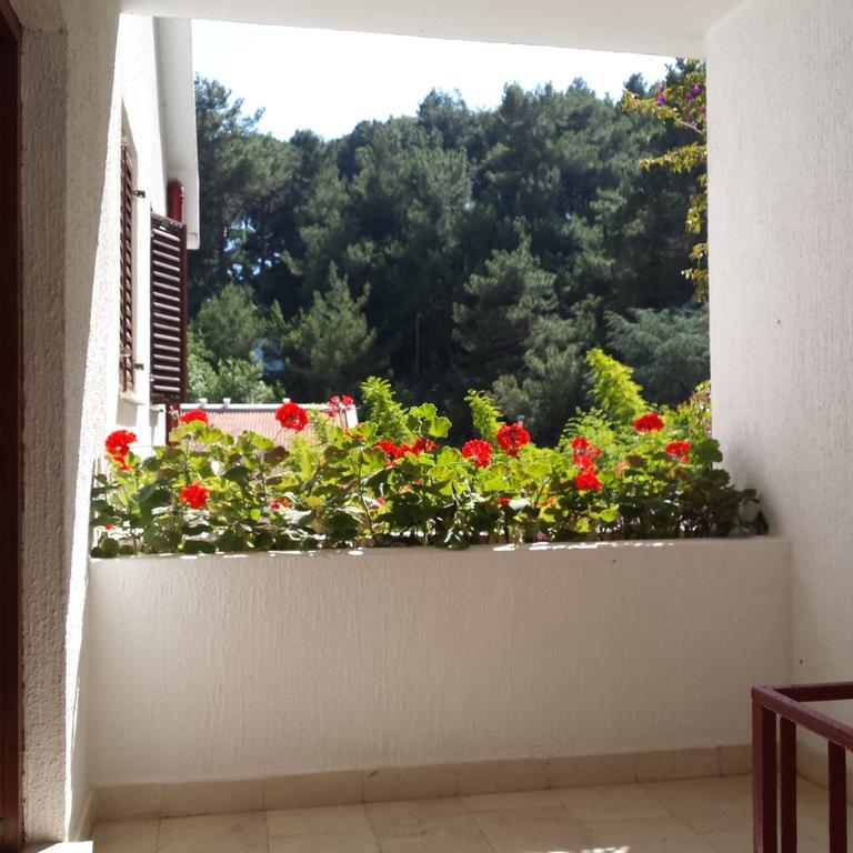 Apartments Almaja Villa Petrovac Exterior photo